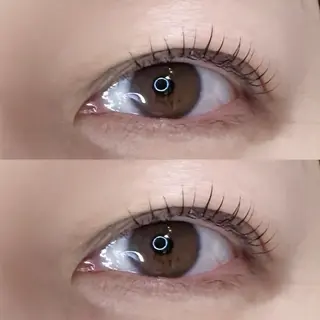 マツエク・マツパ mio🕊 銀座eyelistのマツエク・マツパデザイン