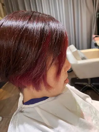 ショート カラー 福本 好子のヘアスタイル