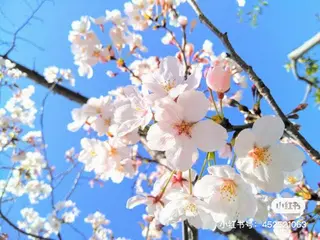 神山 ビューティー・アイのマツエク・マツパデザイン