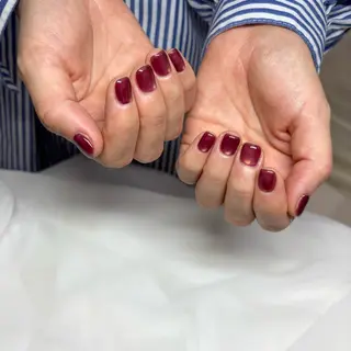 ネイル パラジェルネイル 大人可愛/シンプルのネイルデザイン