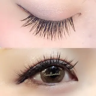 マツエク・マツパ スワロウ テイルのマツエク・マツパデザイン