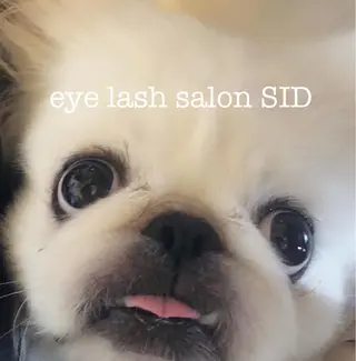 マツエク・マツパ eye lash salon SIDのマツエク・マツパデザイン