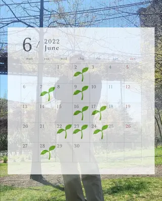 ミディアム Shikota Nagisaのマツエク・マツパデザイン