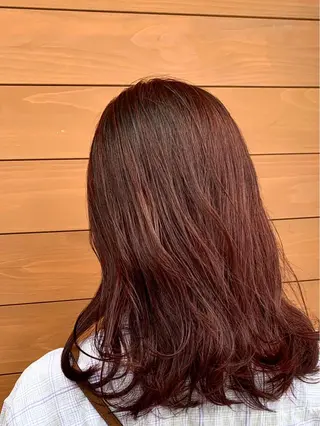 カラー 本場韓国ヘア特化 아이비/Aibiのヘアスタイル