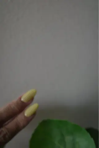 ネイル NailSalon AULAのネイルデザイン