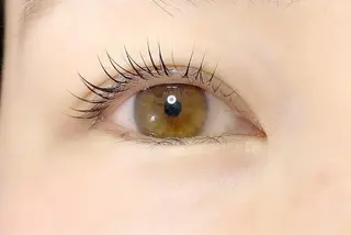 マツエク・マツパ 内藤 由貴のマツエク・マツパデザイン