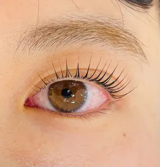 マツエク・マツパ マリーテレジア 研修モデル専用のマツエク・マツパデザイン