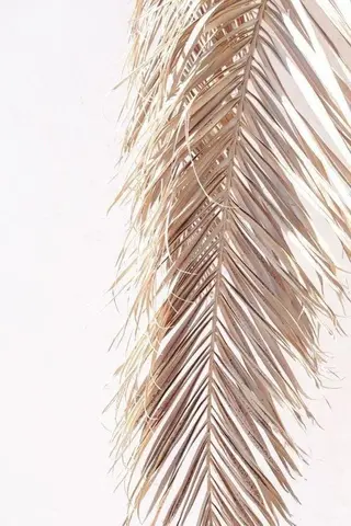 Saki 🍊 荻窪｜nailのネイルデザイン