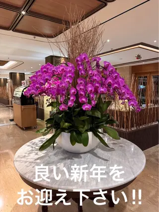 マツエク・マツパ AURORA RINAのマツエク・マツパデザイン