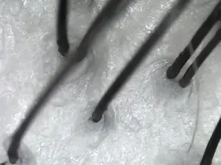 中畑 莉菜のヘアスタイル