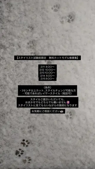 セミロング オト/レイヤー/ Wカラー/メンズのヘアスタイル