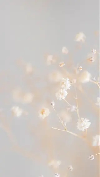 5月から鶴ケ峰 yuri🌷のマツエク・マツパデザイン