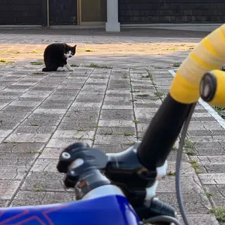 くつろぎ 小悪魔のエステ・リラクイメージ