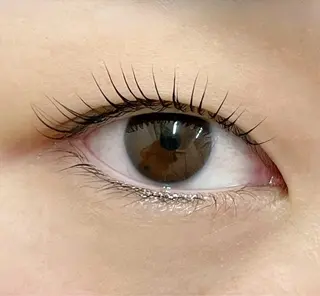 マツエク・マツパ DOLL -eyelash-のマツエク・マツパデザイン