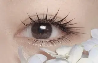 マツエク・マツパ AIeyelash はるかのマツエク・マツパデザイン