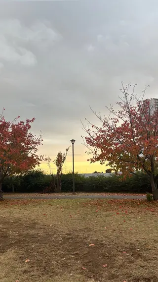 Yu-ka🌼*･ カラー縮毛矯正❣️のヘアスタイル