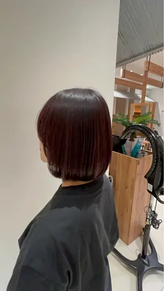 カラー 清宮 小桃のヘアスタイル