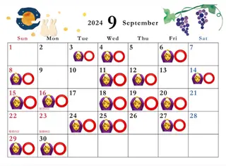 ショート 伊藤 柊のヘアスタイル