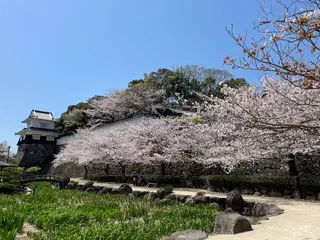 マツエク・マツパ あ やのマツエク・マツパデザイン
