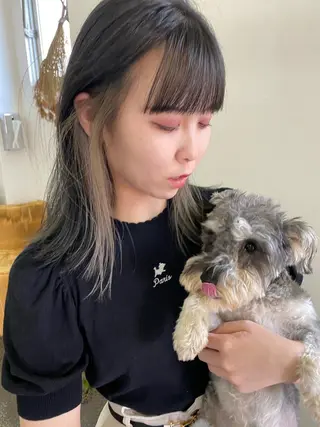 ミディアム qiie/ワンカラー インナーカラーのヘアスタイル