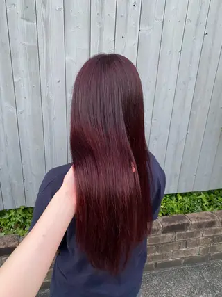 ロング カラー Ludwig AIRIのヘアスタイル