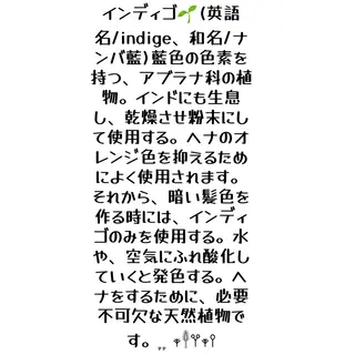 カラー フィールドパパ所属・リラクゼーション ヘナサロンのヘアスタイル