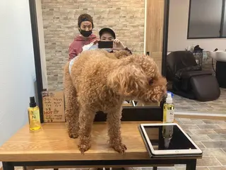 ヘアカラー&縮毛矯正 STAR☆RIVERのヘアスタイル