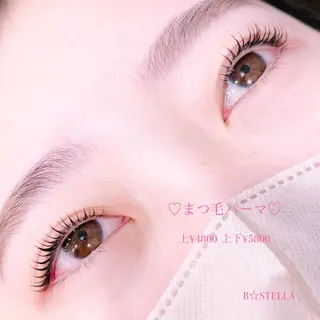 マツエク・マツパ HAYASAKA 韓国風/束感/パリのマツエク・マツパデザイン