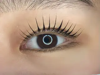 マツエク・マツパ Lupinus 長澤のマツエク・マツパデザイン