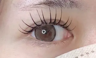 マツエク・マツパ ビューティージーンプロフェッショナル新宿店所属・🐶 IZUMI 🐾のマツエク・マツパデザイン