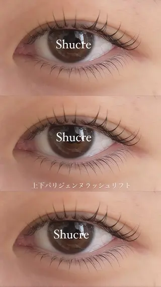 マツエク・マツパ Shucre豊田店 🤍Koharuのマツエク・マツパデザイン