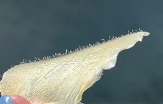 エステサロン Mi-mi.iのエステ・リラクイメージ