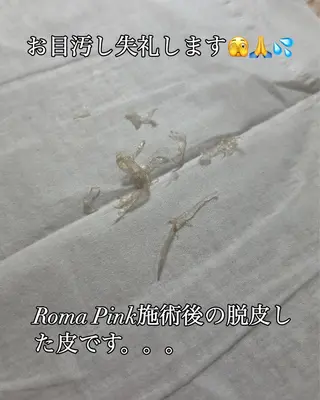 那覇 🫧Ryokoの眉毛・アイブロウイメージ