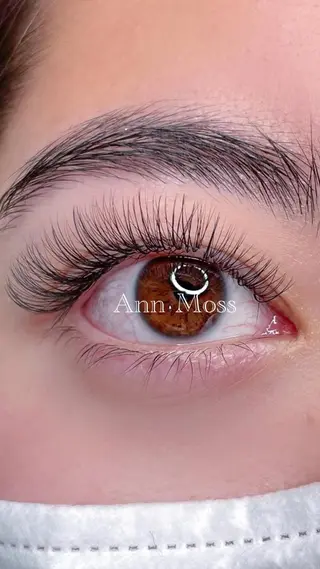 マツエク・マツパ 無料モデル募集中 Ann Mossのマツエク・マツパデザイン
