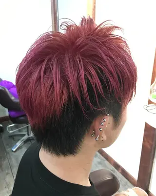 ショート カラー 鈴木 英治のヘアスタイル