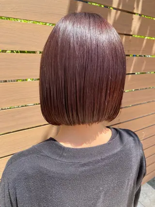 ショート カラー 小坂 麻綾のヘアスタイル