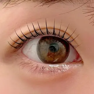 マツエク・マツパ ai一重専門🎀束感 まつげ🫧表参道のマツエク・マツパデザイン