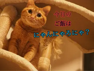 ネイル kiki nail &brow二子玉川の眉毛・アイブロウイメージ