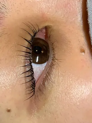 マツエク・マツパ il Anng ayumiのマツエク・マツパデザイン