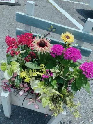 kawano shieriのエステ・リラクイメージ