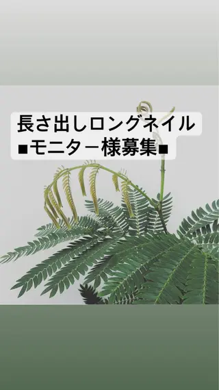 ネイル Bella 齋藤理奈のネイルデザイン