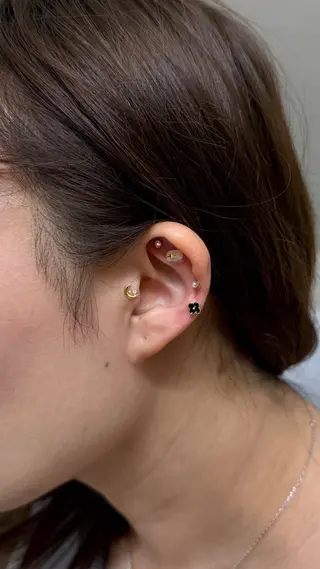 B.napus/mimi2bo所属・B.napus Nanohaのその他イメージ