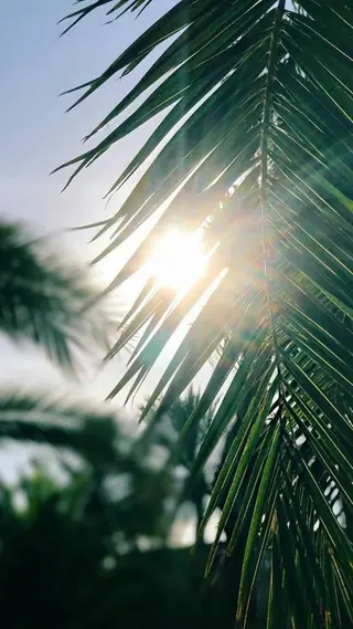 𝐘𝐎𝐒𝐇𝐈 𝐌𝐈🌞🏝のマツエク・マツパデザイン