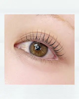 マツエク・マツパ SHIORI 🐈⸒⸒⸒⸒のマツエク・マツパデザイン