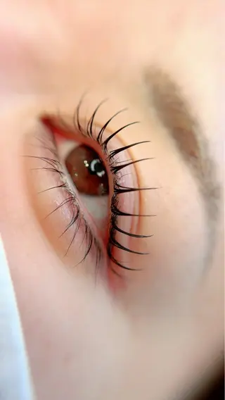 マツエク・マツパ Maile leaf 【マイレリーフ】のマツエク・マツパデザイン