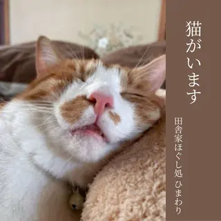 山嵜 まりこのその他イメージ