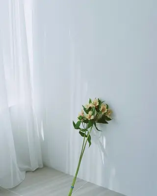 カラー メンズ タナベ リオ / 横浜のヘアスタイル