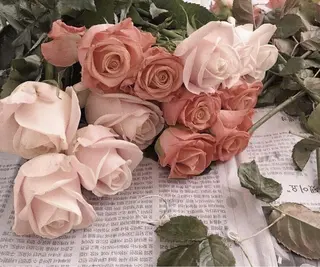 マツエク・マツパ BBG森田 彩のマツエク・マツパデザイン