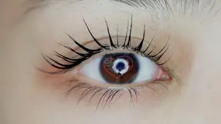 マツエク・マツパ ta miのマツエク・マツパデザイン