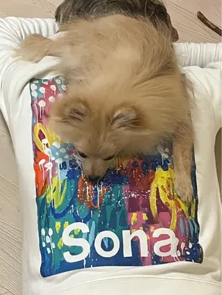 紙屋 隼人のヘアスタイル